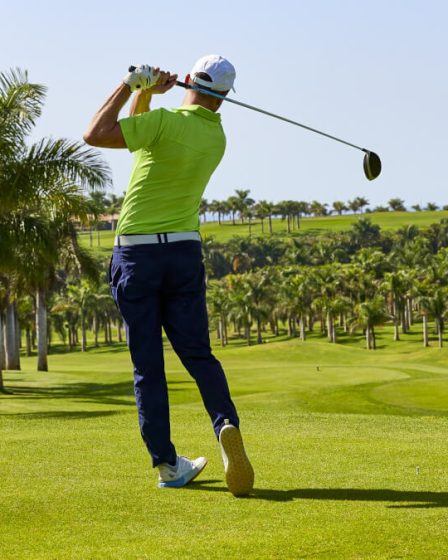 ゴルフを楽しむ人